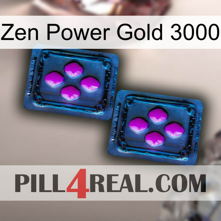 Zen Power Gold 3000 03